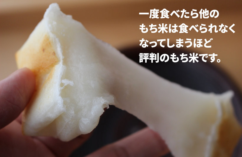 とりわけ美味しい「おとりもち」 | 縄文おやきの小川の庄