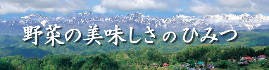 野辺山高原野菜 おいしさの秘密